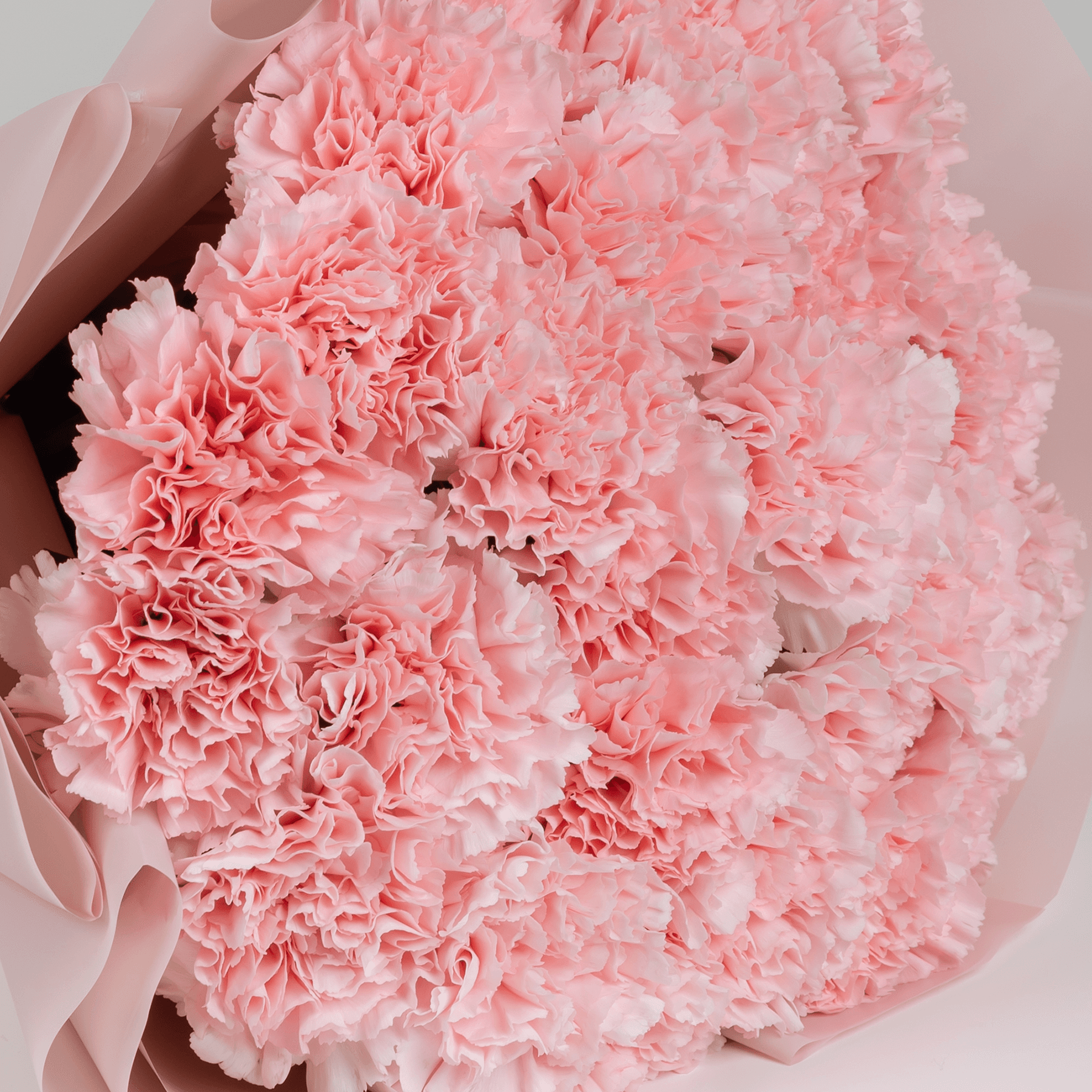 20 Carnation Pink Bouquet