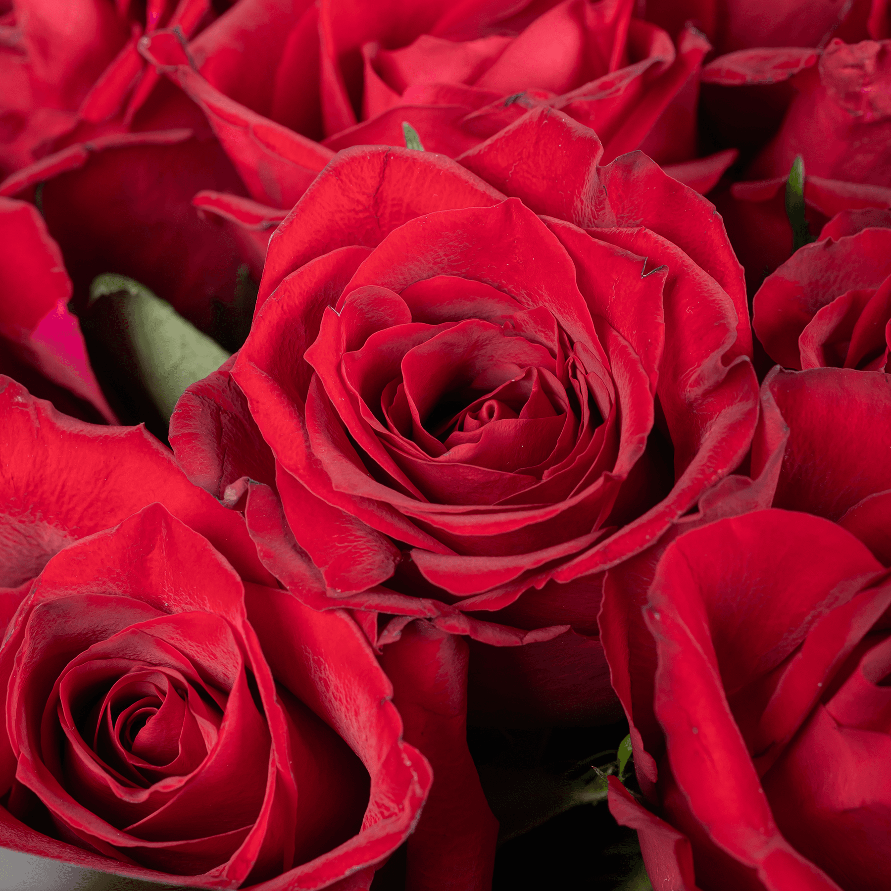 40 Red Roses Bouquet