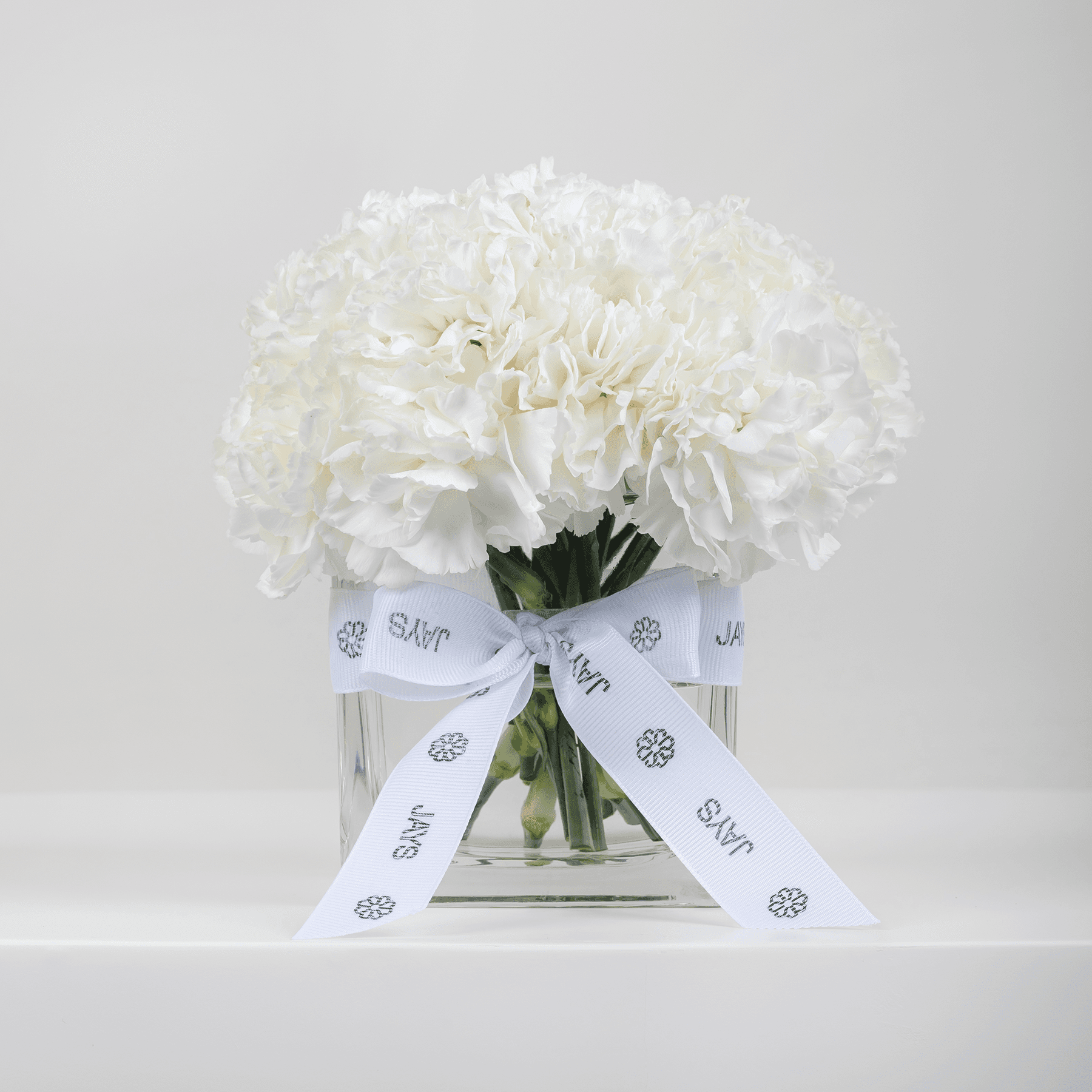 Peace White Carnation Vase