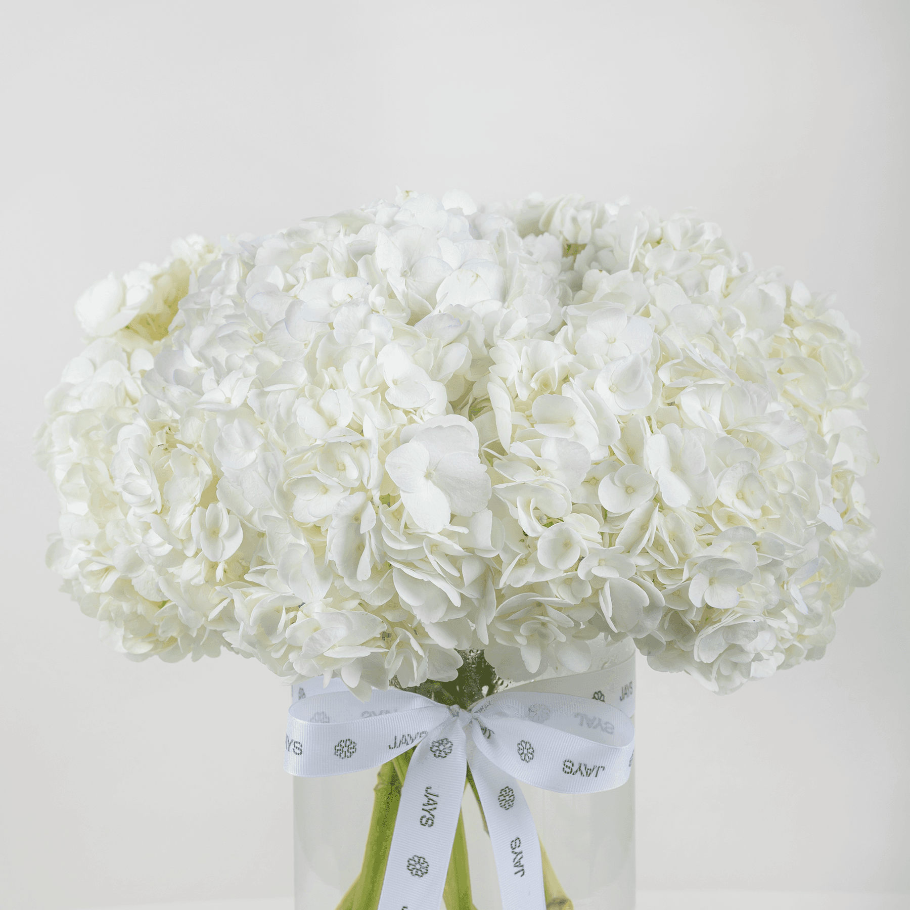 Magical White Hydrangea Vase