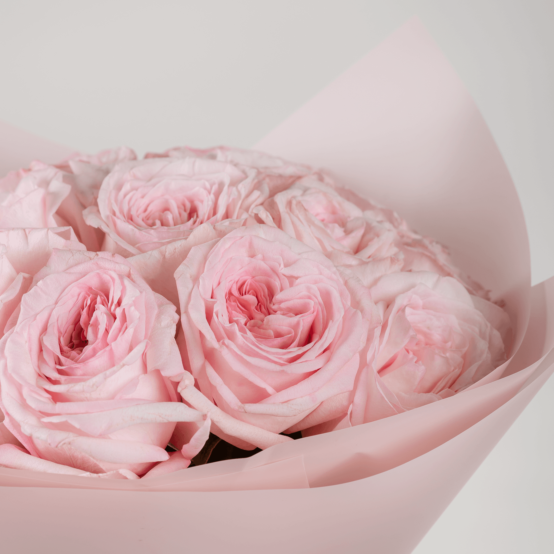 15 Ohara Pink Roses Bouquet