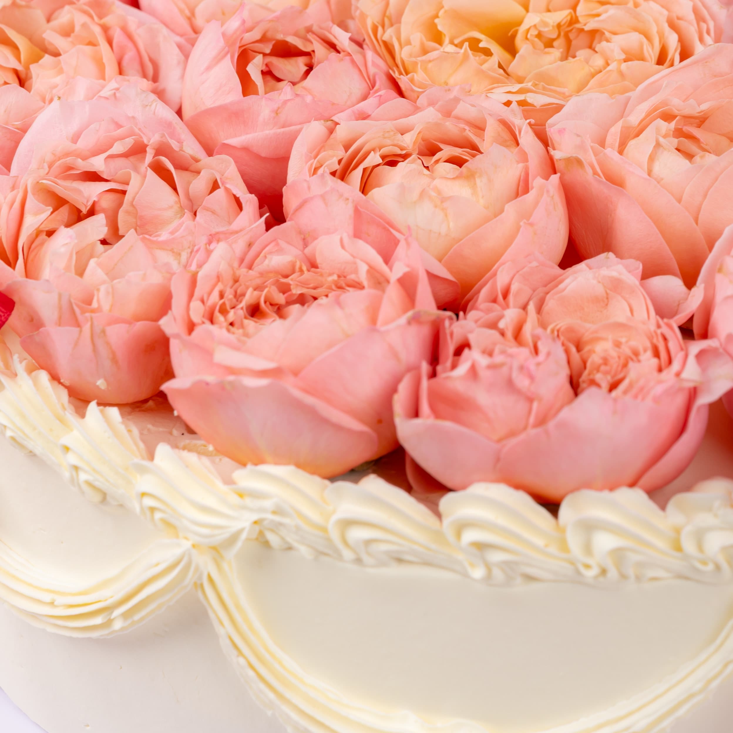 أول ماي لوف