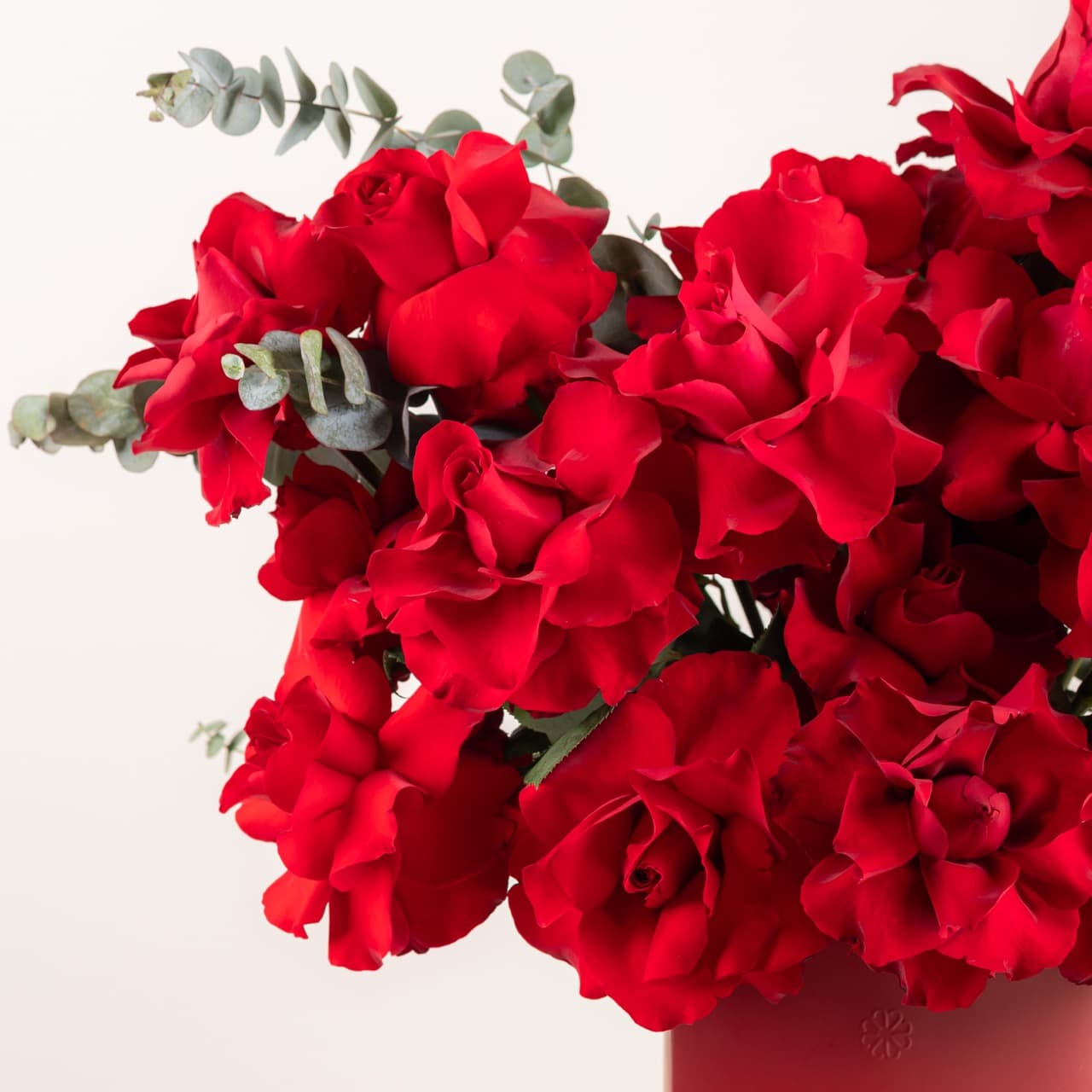 Brave Love - Ever Red