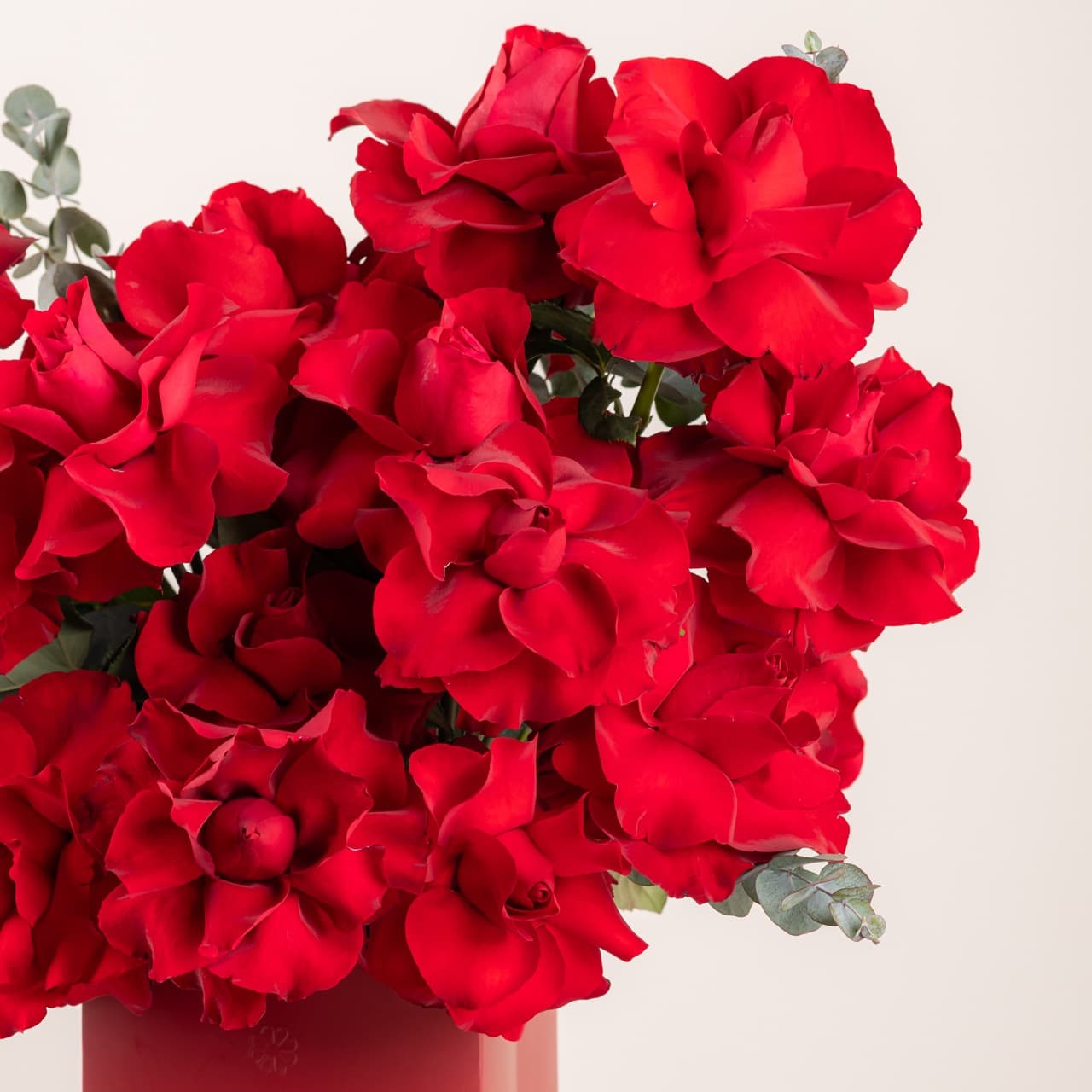 Brave Love - Ever Red