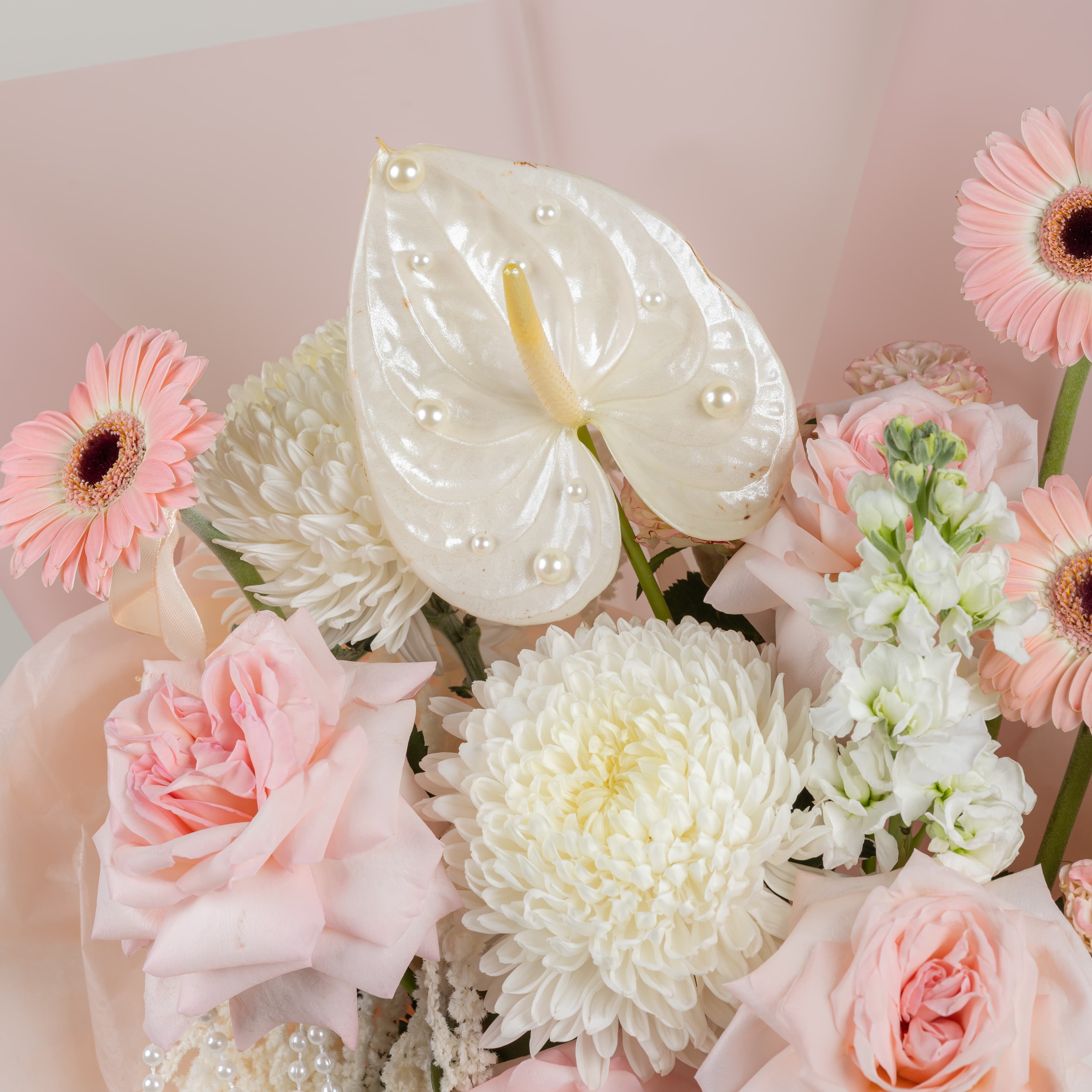 بيرل ميوز بلوم