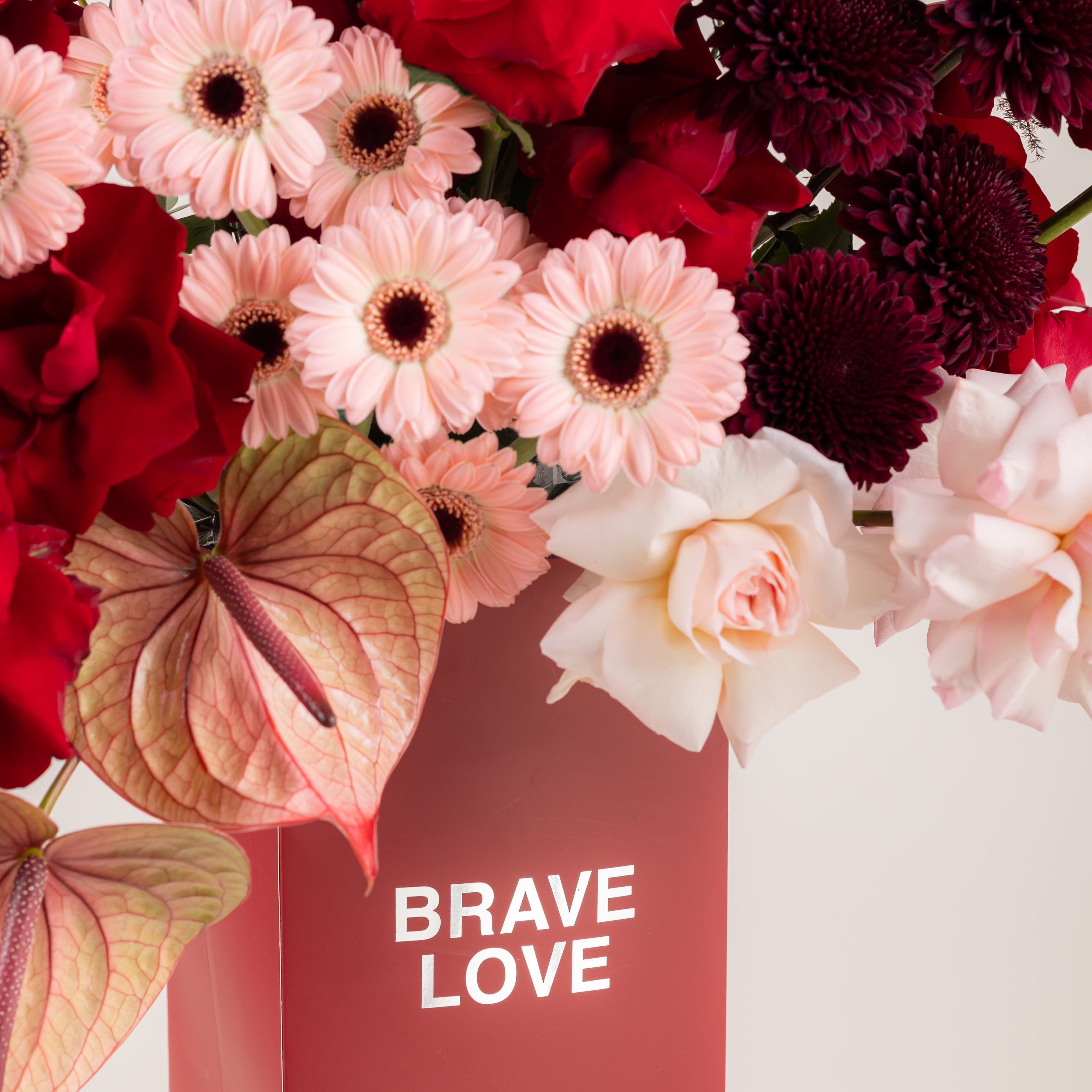 Brave Love - Promise